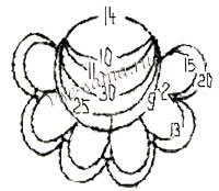 Купавка 1