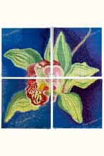 Орхидея - Схема для вышивания крестиком