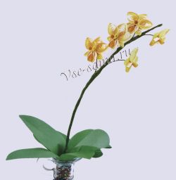 Орхидея в технике квиллинг