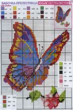 Бабочка прелестница - Схема для вышивания крестиком