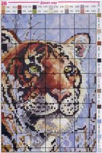 Дикий мир - Тигр - Схема для вышивания крестиком