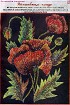 Алые цветы - Схема для вышивания гладью