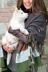 Вязаная стола