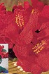 Красные цветы с желтыми пестиками