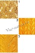 Ажурные узоры с косами 2