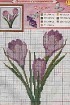 Крокусы - Схема для вышивания крестиком