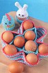 Подставка и чехлы для яиц