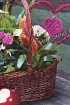 Корзинка с сердечками крючком