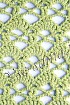 Узор - цвет листвы