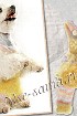Штанишки для собаки - Просто прелесть
