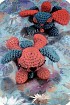 Спящие собачки - мягкие игрушки