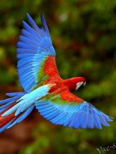 Немного о цвете