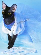 Белое платье для кошки спицами