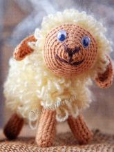 Кудрявая овечка, фото