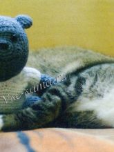 Вязаный медвежонок - сластена Мартин