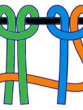 Узлы из двух нитей, фото