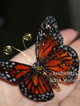 Бабочка из пластиковой бутылки от koshmarin77