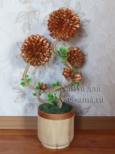 МК - Фисташковое дерево, фото