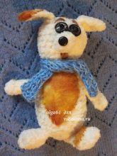 Белая собачка, фото