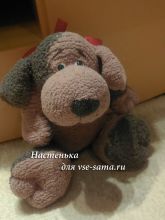 Пес Зеленкин Младший, фото