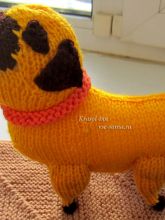 Желтый мопс, фото