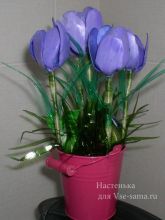 МК - Крокусы из пластиковых бутылок, фото 1