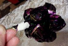 МК - Виноградная гроздь из конфет, фото 3