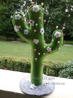 Игольница - цветущий кактус, фото