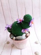 Игольница Кактус, фото Игольница Кактус, фото