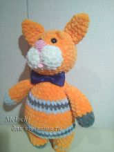 Кот-апельсин, фото