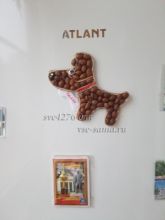 Магнит Барбос, фото