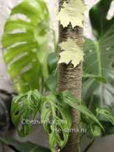 Опора для вьющегося цветка, фото