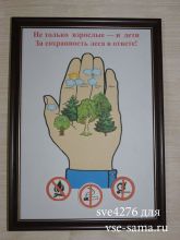 МК - Плакат Берегите лес, фото