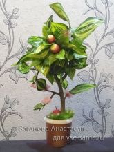 Топиарий яблочный, фото Топиарий яблочный, фото