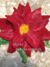 Пуансетия - рождественский цветок, фото