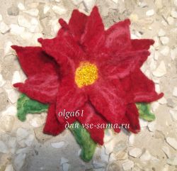 Пуансетия - рождественский цветок, фото