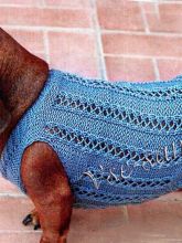 Ажурный жилет для собаки