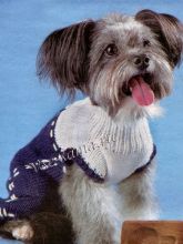 Бело-синий комбинезон