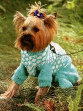 Бирюзовый комбинезон