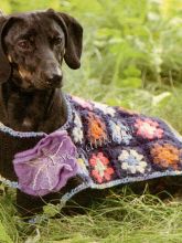 Цветная попона для таксы