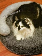 Диванчик для кошки