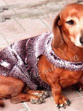 Фиолетовая попона