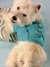 Голубой жилет с пуговицами