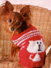 Красная жилетка