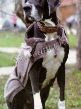 Попона для дога