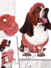 Туника и кепи для собаки - Стильная парочка