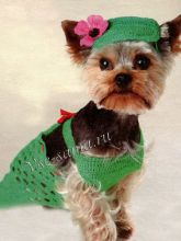 Зеленый комбинезон с кепкой