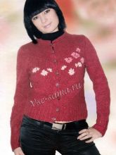 Бордовая кофточка с вышивкой, фото