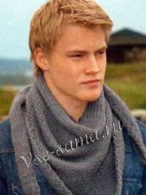 Мужской бактус спицами