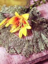 Воротничок спицами лилии